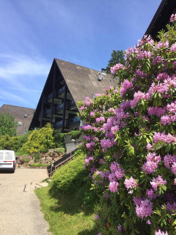 Apartamento On The Hill Sasbachwalden Exterior foto